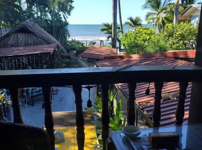 Amarilla Tamarindo