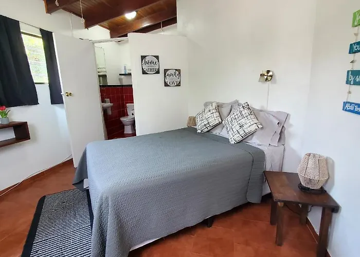 Amarilla Hotel 3*